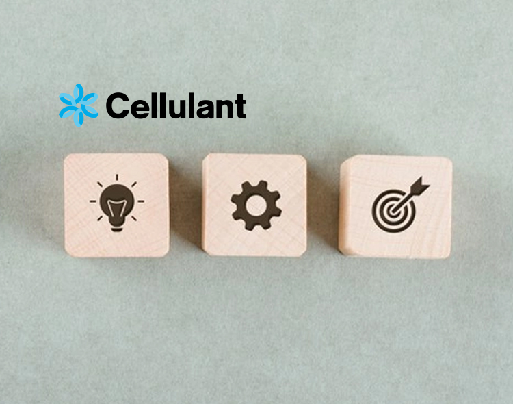 In A Bid To Improve Cross-border Trade Across Africa, Link Commerce Partners With Cellulant To Avail Relevant Digital Payment Options To Online Shoppers