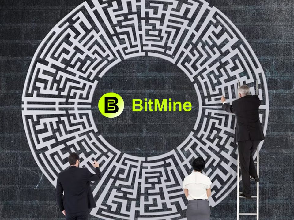 BitMine Appoints New CEO and Three Independent Board Appointments