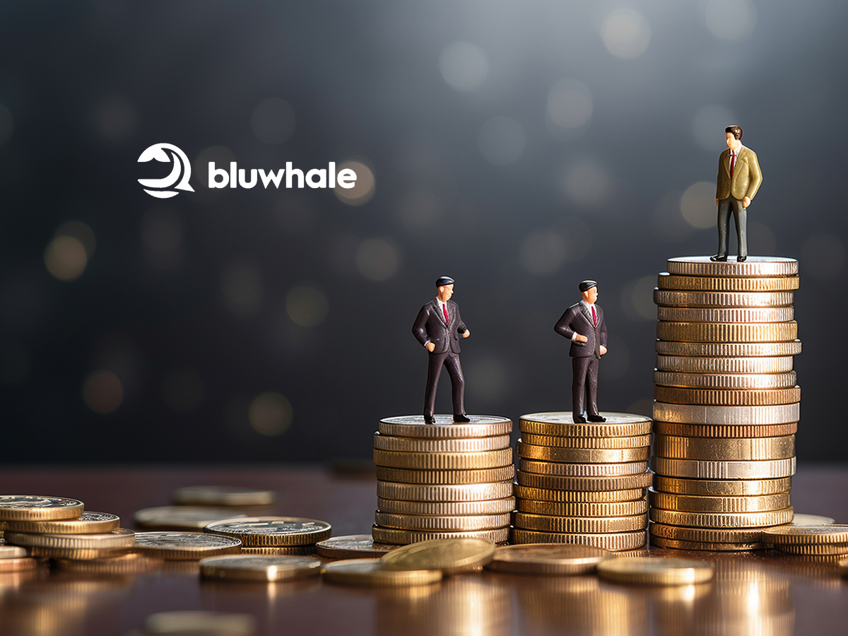 Bluwhale Introduces Stablecoin Agent During Market Volatility