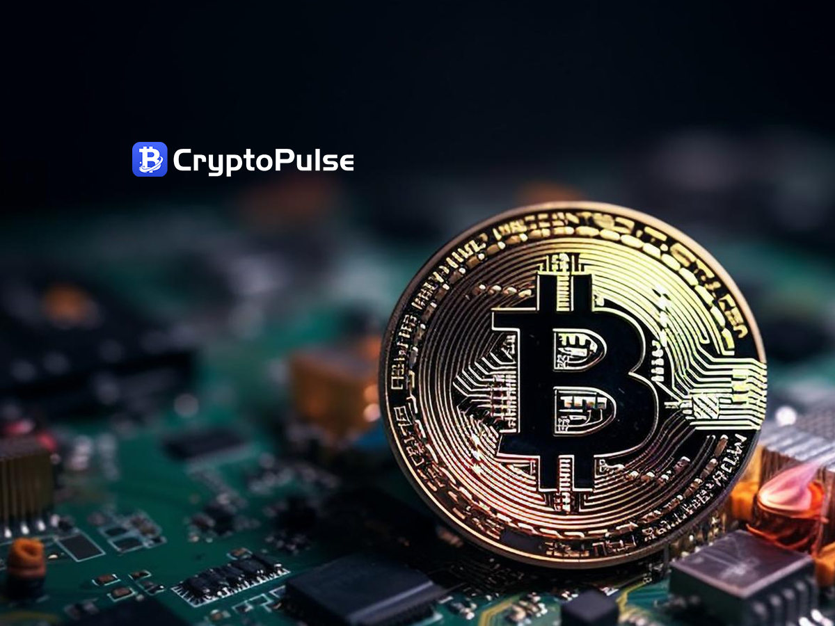 CryptoPulse Leads the Revolution: Creating a New Web3 Paradigm for Social and Media Convergence