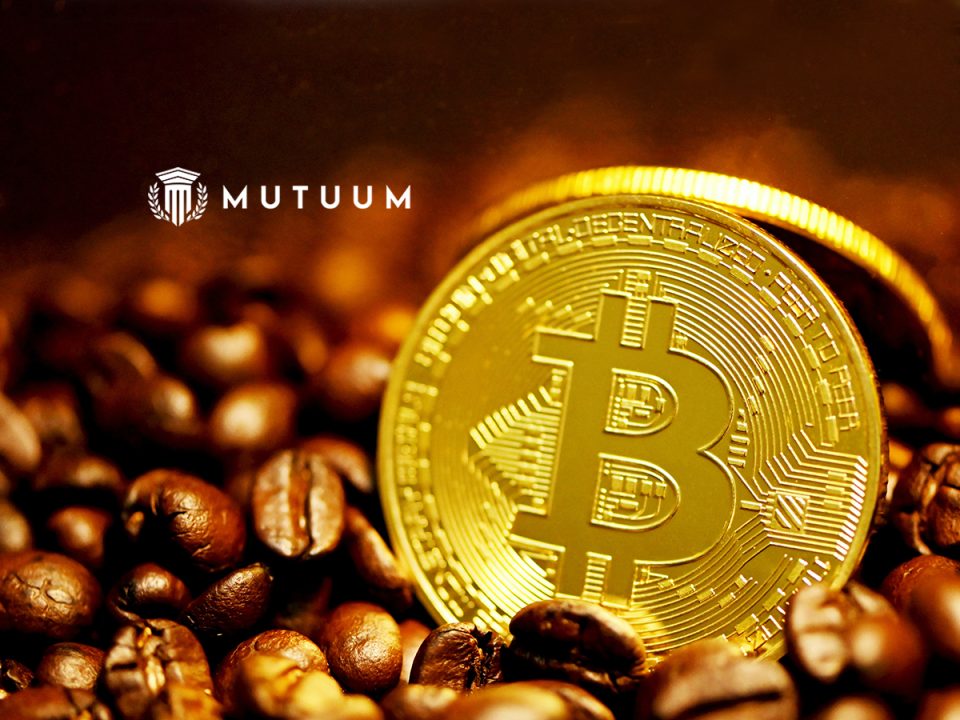 DeFi Crypto Mutuum Finance (MUTM) Advances Through Roadmap Phase 2 with Over $19M in Funding