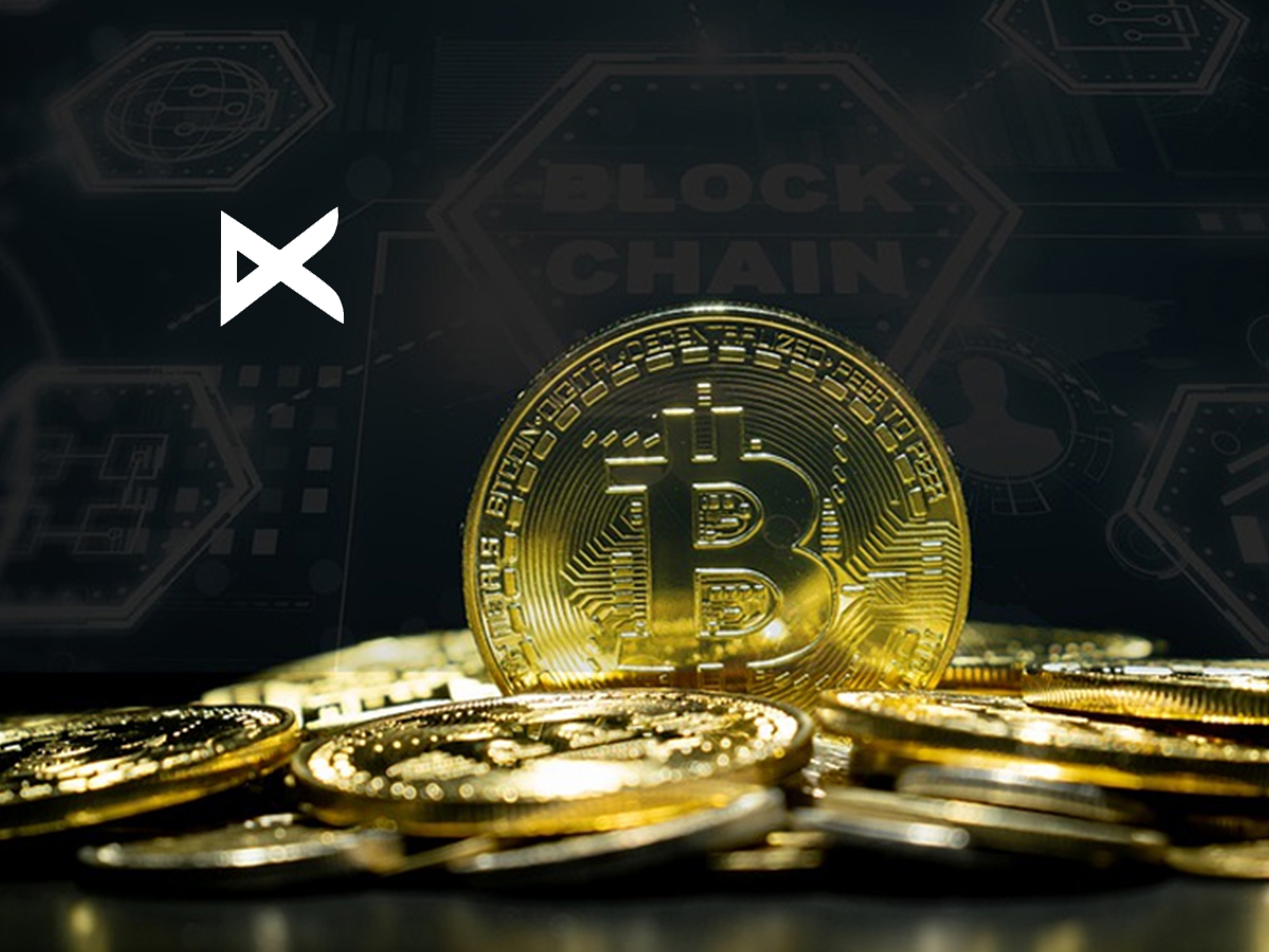 LAX Expands Real-World Crypto Payment Utility Through High-Performance Network Infrastructure