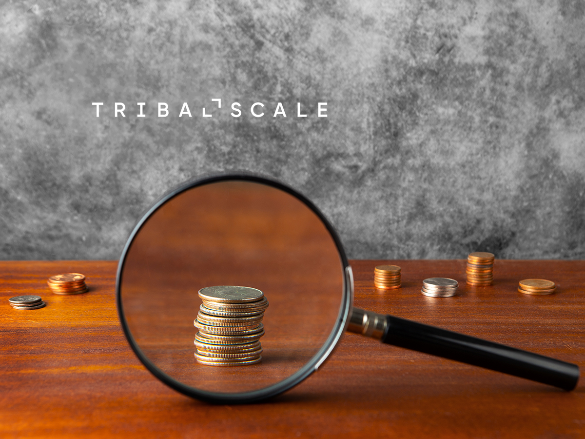 TribalScale Appoints Leo Giel as Head of BFSI to Lead AI Transformation Across Financial Services