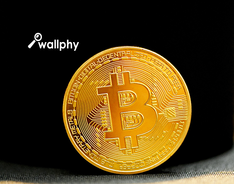 Wallphy App Released Demystifying Crypto Token Trading