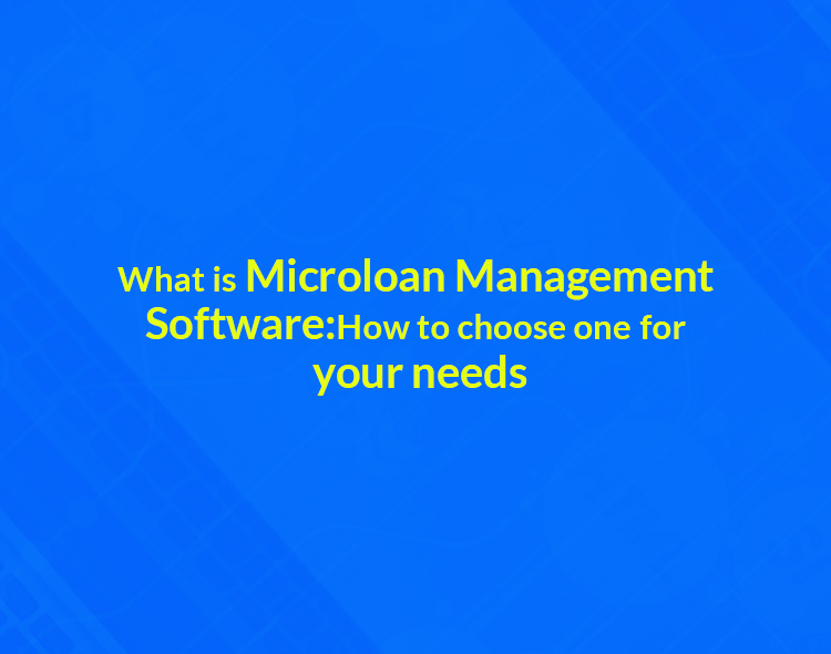 What Is Microloan Management Software: How To Choose One For Your Needs